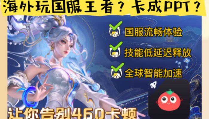 国外玩王者荣耀的软件教程